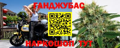 крисы Михайловск