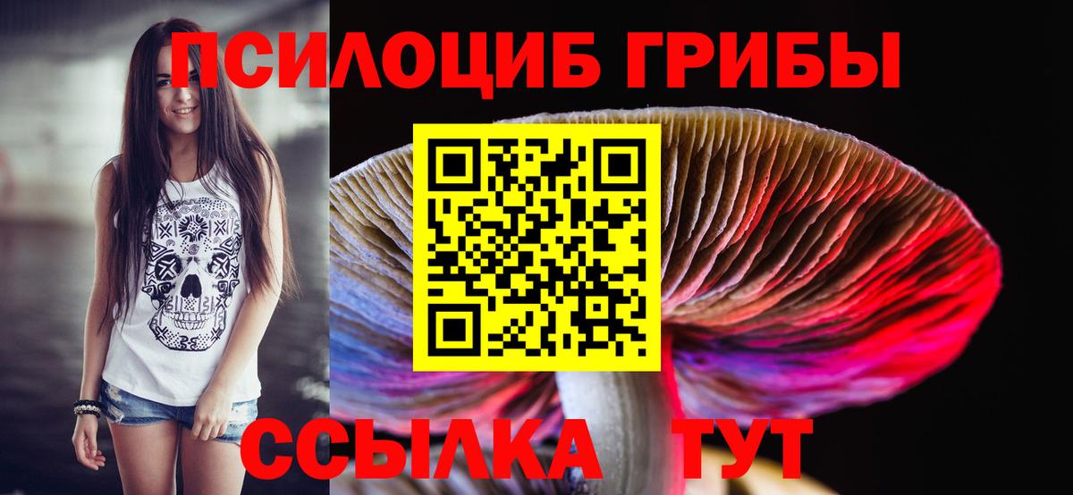 Псилоцибиновые грибы Psilocybine cubensis Орехово-Зуево